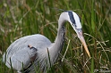 Everglades - Part 2